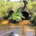 Multiple Culvert Crossing, Lubec, Maine