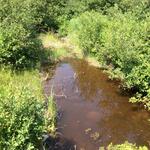 Multiple Culvert Crossing, Lubec, Maine