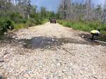 Ford Crossing, Jonesport, Maine