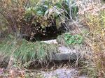 Culvert Crossing, Pembroke, Maine
