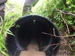 Culvert Crossing, Trib To Pennamaquan River, Pembroke, Maine