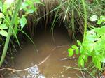 Culvert Crossing, Pembroke, Maine