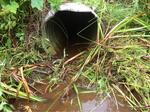 Culvert Crossing, Pembroke, Maine