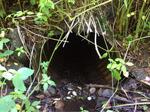 Culvert Crossing, Eastport, Maine