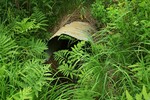 Culvert Crossing at Clark Road, Kenduskeag, Maine
