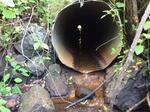 Culvert Crossing, Eastport, Maine