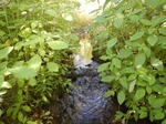 Culvert Crossing, Lubec, Maine