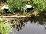 Multiple Culvert Crossing, Jonesboro, Maine