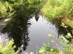 Multiple Culvert Crossing, Jonesboro, Maine