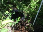 Culvert Crossing, Eastport, Maine