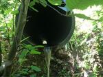 Culvert Crossing, Eastport, Maine