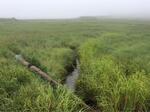 Culvert Crossing, Lubec, Maine