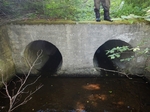 Multiple Culvert Crossing, Trib To Moosehorn Brook, Charlotte, Maine