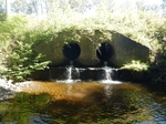 Multiple Culvert Crossing, Trib To Moosehorn Brook, Charlotte, Maine