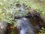 Multiple Culvert Crossing, Trib To Moosehorn Brook, Charlotte, Maine