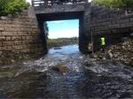 Bridge Crossing, Edmunds Twp, Maine