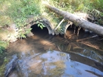 Culvert Crossing, Lubec, Maine