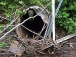 Culvert Crossing, Trescott Twp, Maine