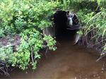Culvert Crossing, Trescott Twp, Maine