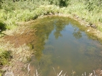 Culvert Crossing, Machias, Maine