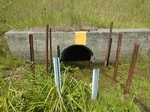 Culvert Crossing, Machias, Maine