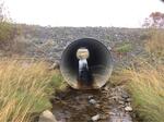 Culvert Crossing, Pembroke, Maine