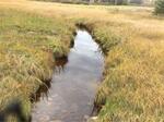 Culvert Crossing, Pembroke, Maine