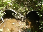 Culvert Crossing, Roque Bluffs, Maine