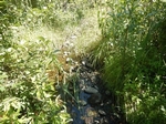 Culvert Crossing, Roque Bluffs, Maine