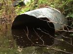Culvert Crossing, Charlotte, Maine
