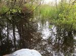Culvert Crossing, Charlotte, Maine