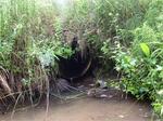Culvert Crossing, Pembroke, Maine