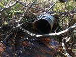 Culvert Crossing, Crow Brook, Pembroke, Maine
