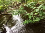 Culvert Crossing, Lubec, Maine