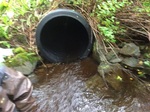 Culvert Crossing, Lubec, Maine