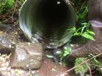 Culvert Crossing, Lubec, Maine