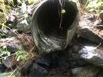 Culvert Crossing, Lubec, Maine