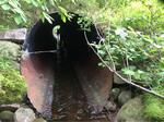 Culvert Crossing, Jonesport, Maine