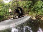 Culvert Crossing, Jonesport, Maine