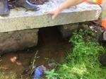 Culvert Crossing, Eastport, Maine