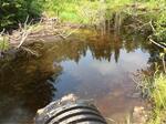 Multiple Culvert Crossing, Trib To Starboard Cove, Machiasport, Maine