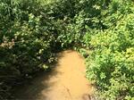Culvert Crossing, Lubec, Maine