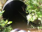 Culvert Crossing, Lubec, Maine