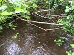 Multiple Culvert Crossing, Lubec, Maine