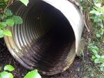 Multiple Culvert Crossing, Lubec, Maine