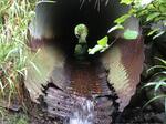 Multiple Culvert Crossing, Lubec, Maine