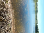 Culvert Crossing, Lubec, Maine
