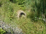 Culvert Crossing, Benver Brook, Jonesboro, Maine