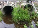 Multiple Culvert Crossing, Pembroke, Maine
