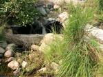 Multiple Culvert Crossing, Roque Bluffs, Maine